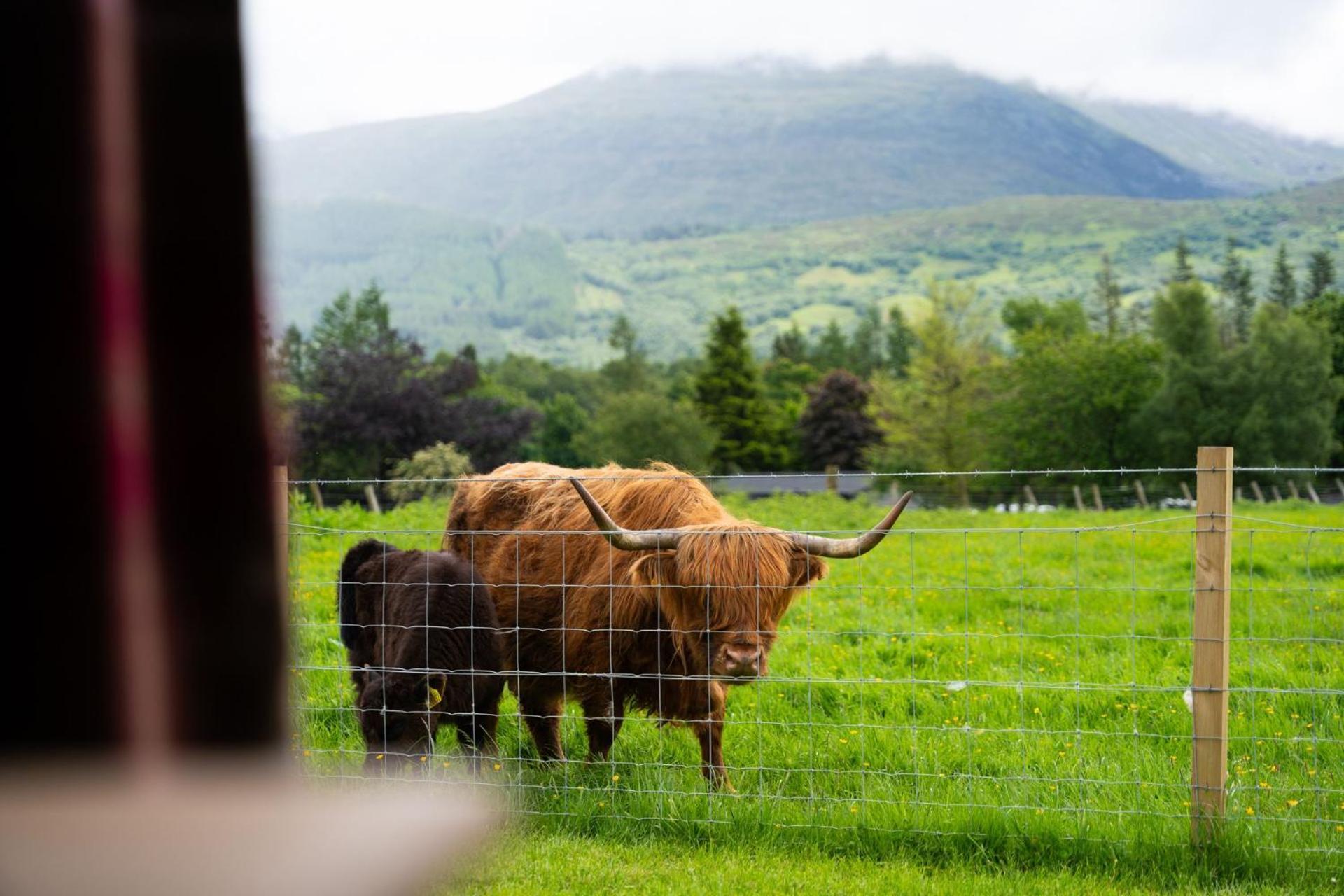 Villa Ben Nevis Pod Fort William Exterior foto